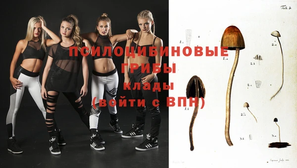 твердый Арсеньев