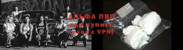 твердый Арсеньев