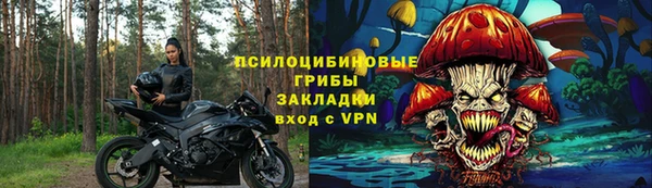 твердый Арсеньев