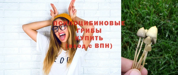 твердый Арсеньев